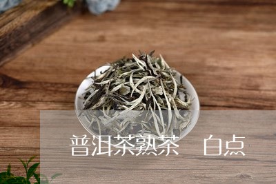 普洱茶熟茶 白点/2023031702038